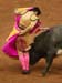 toros01