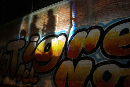 Tigres04