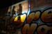 Tigres04