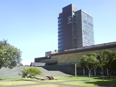 62jannavi Trejo 2